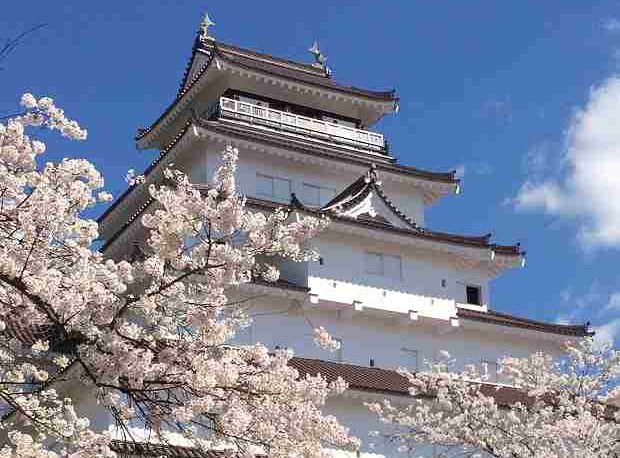 会津若松城の桜