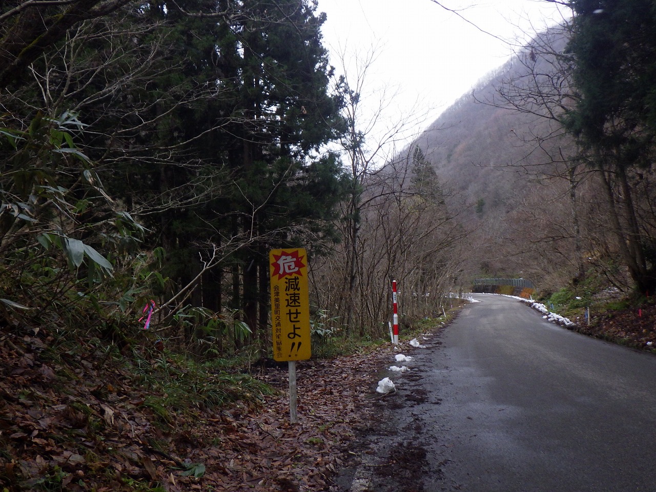 RIMG5214
